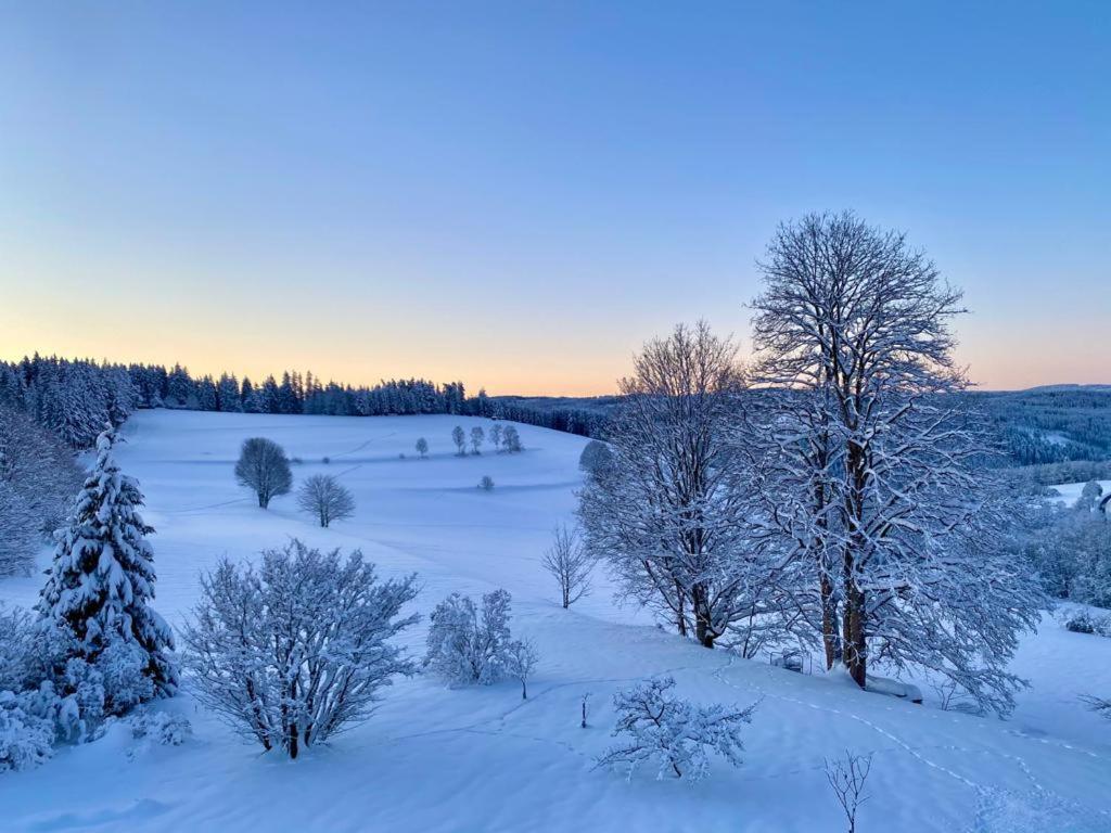 Gaestehaus Steiert Fewo Kuhbergblick Lenzkirch Kültér fotó