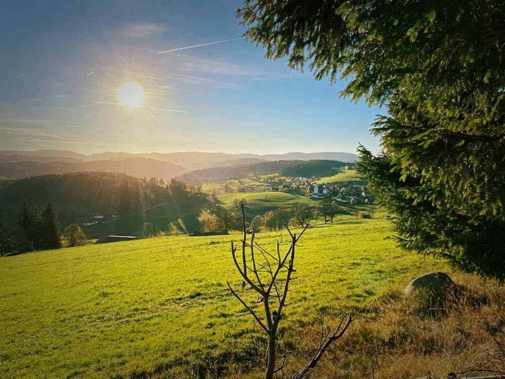 Gaestehaus Steiert Fewo Kuhbergblick Lenzkirch Kültér fotó