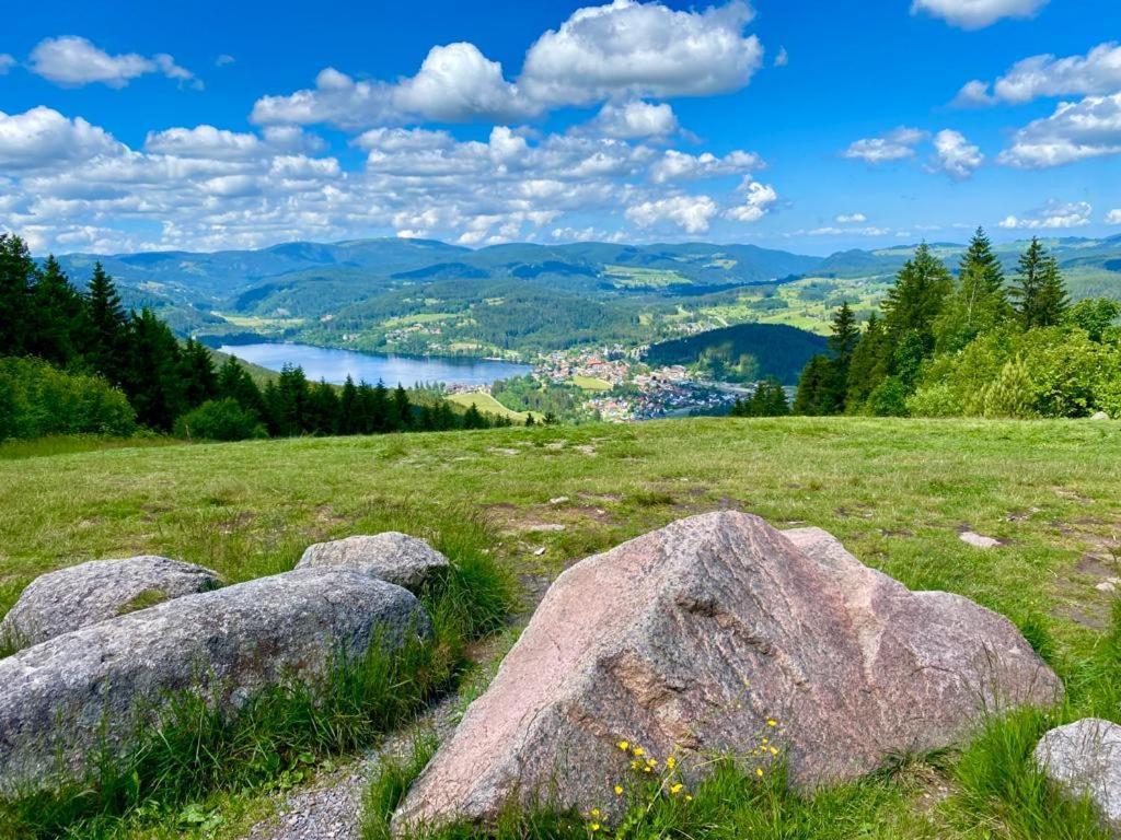 Gaestehaus Steiert Fewo Kuhbergblick Lenzkirch Kültér fotó