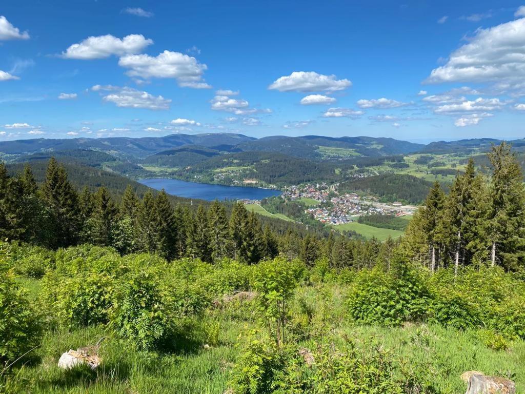 Gaestehaus Steiert Fewo Kuhbergblick Lenzkirch Kültér fotó